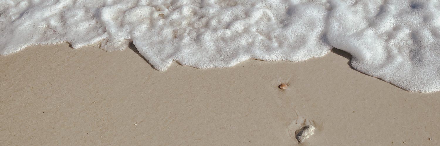LPtrckBrwn's profile banner image