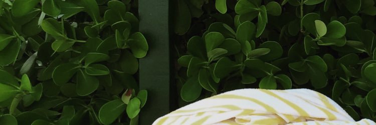 Bianca Monaco banner