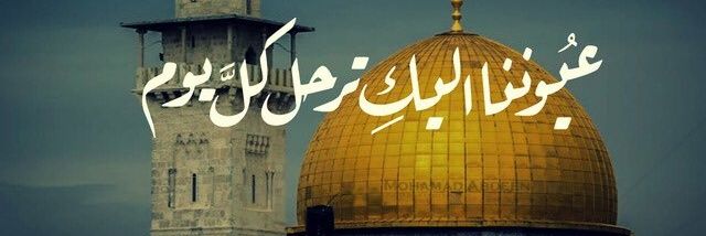 GenedyMustafa's profile banner image