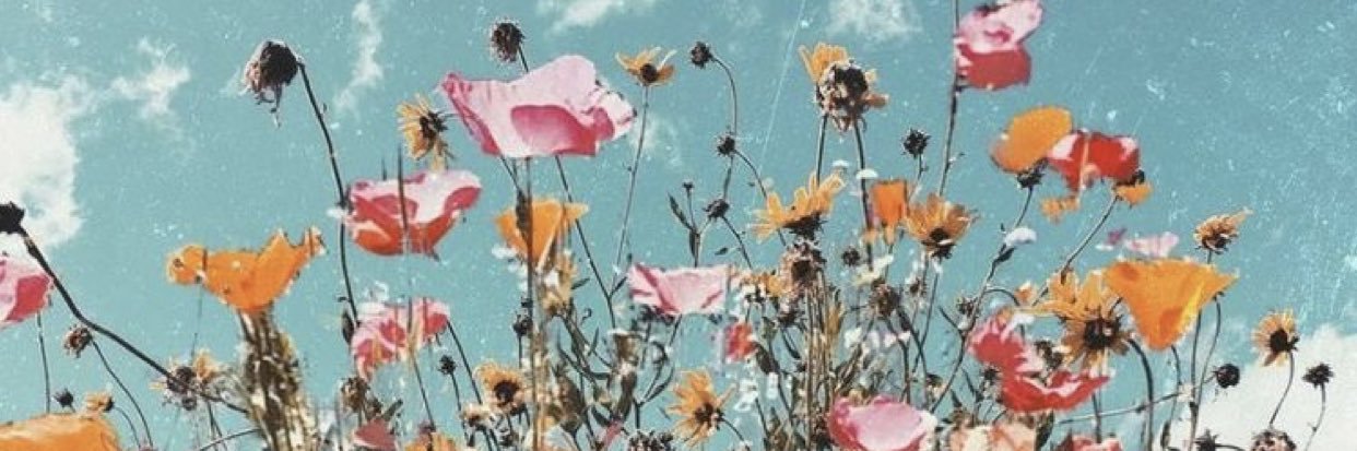 shylarrrr's profile banner image