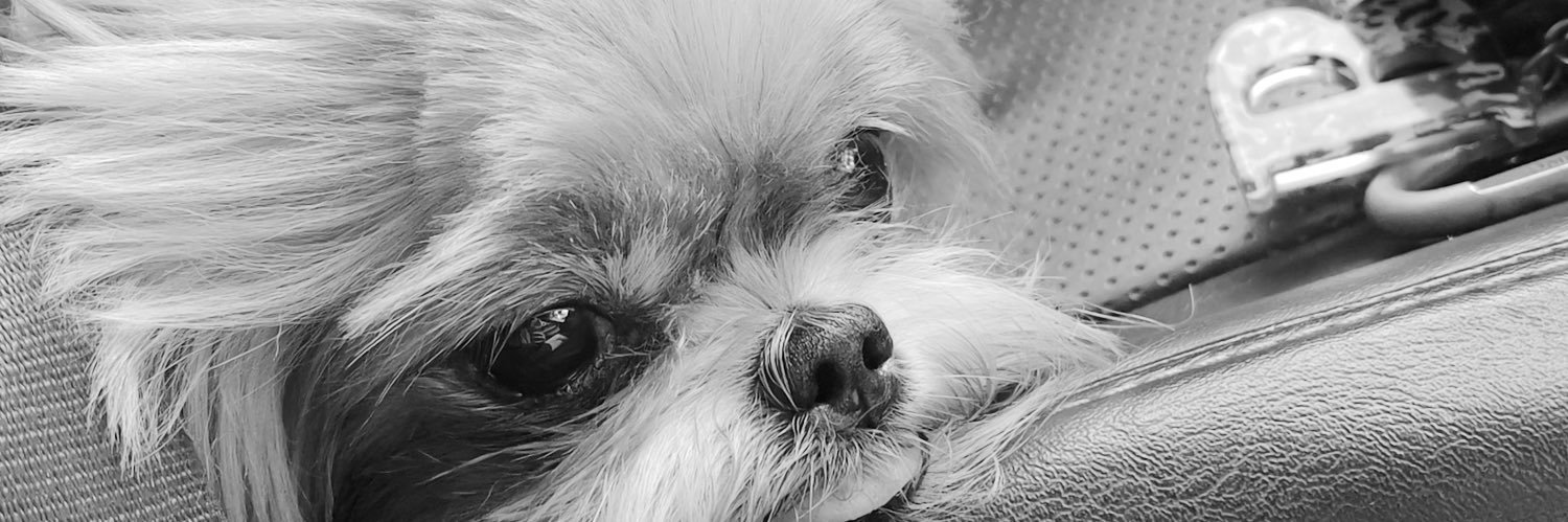 briannacrdro's profile banner image