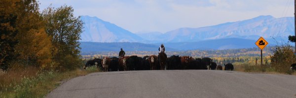 Kennziee Profile Banner