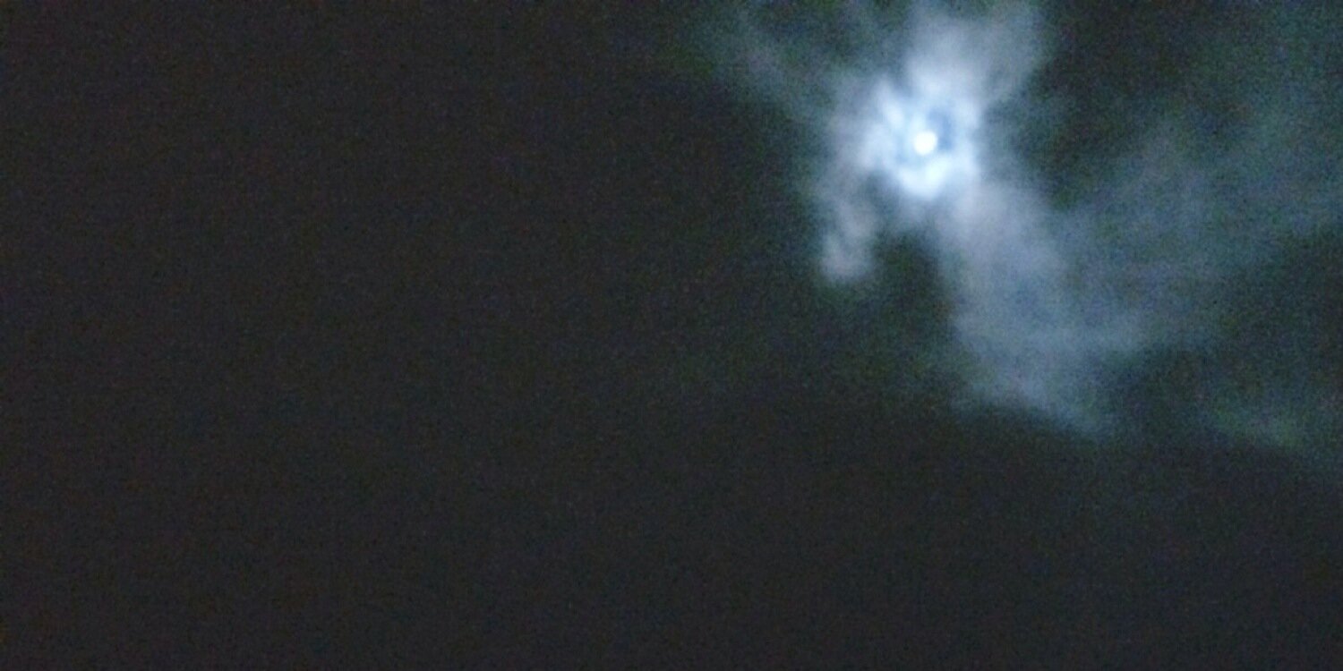 spooky_violet's profile banner image