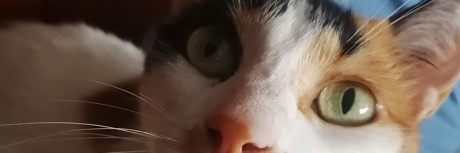 JessieAndresR's profile banner image