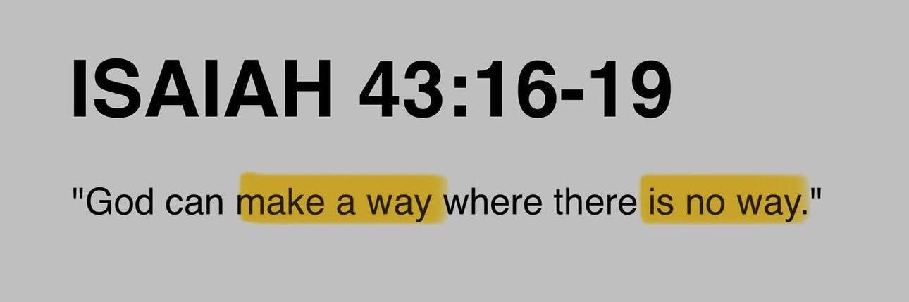 Benjamin Wilson 🏝 banner