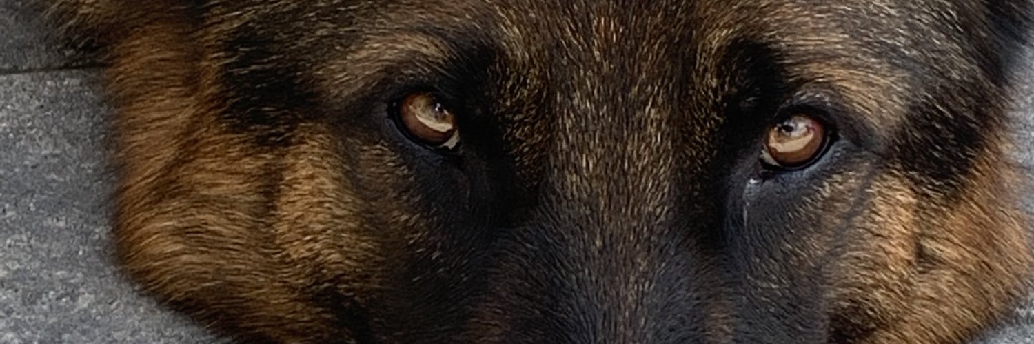 jacknangie's profile banner image