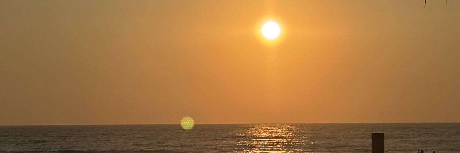 DenisseCrespo2's profile banner image