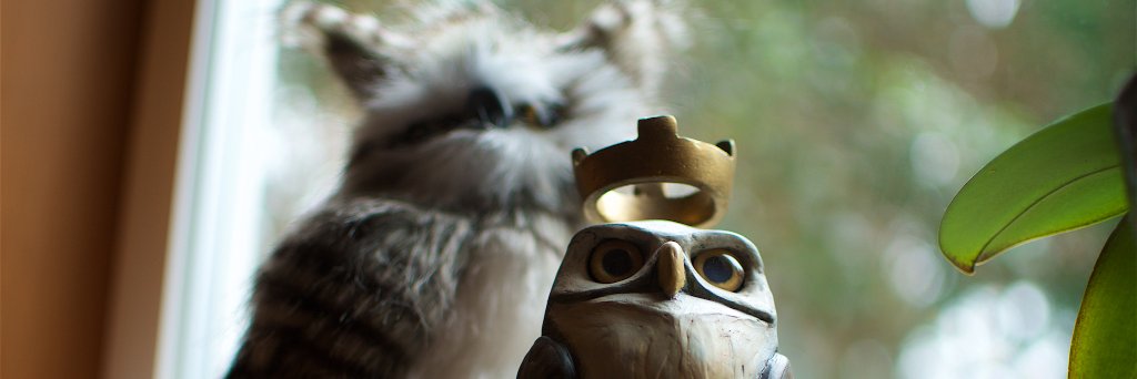 MrTemple's profile banner image