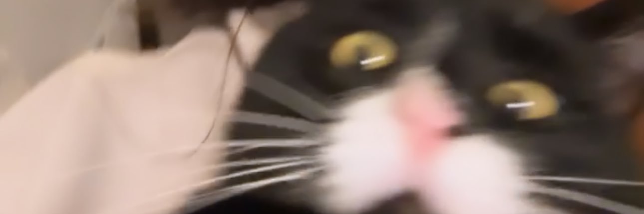 𝐉𝐄𝐍𝐍𝐈𝐅𝐄𝐑 𝐒𝐍𝐄𝐃𝐃𝐎𝐍 ☁️ banner