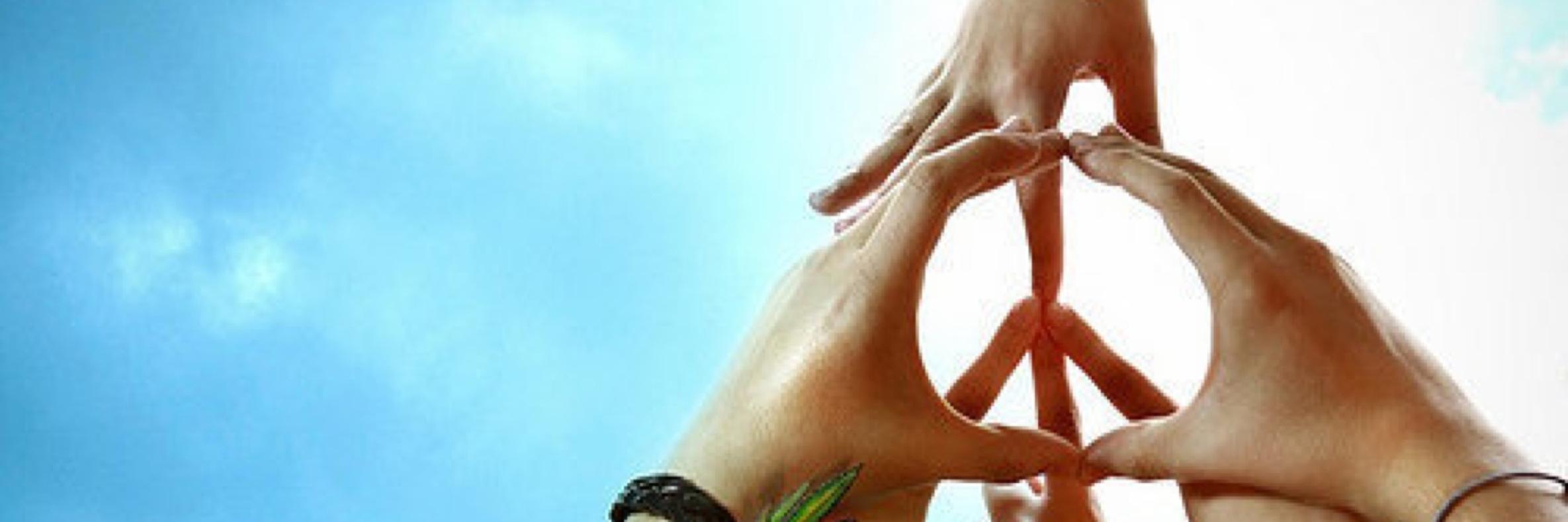 Elsvandeginste's profile banner image