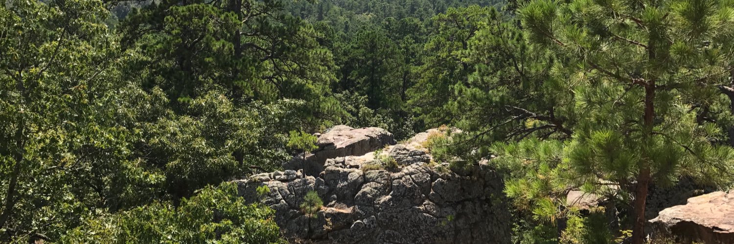 ScrapperTaylor's profile banner image