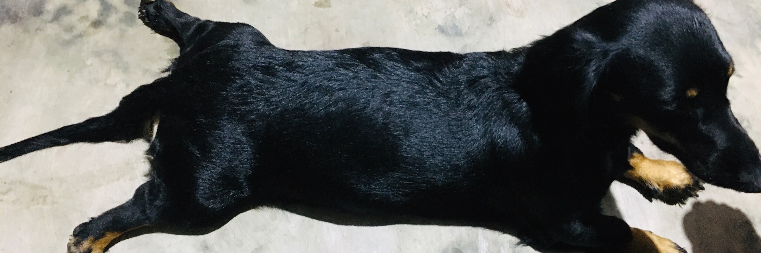 ldylstr95's profile banner image
