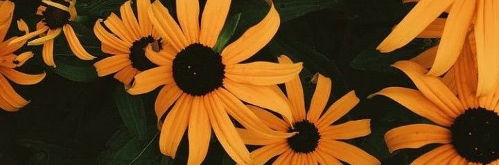 cpark_hi's profile banner image