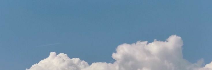 carrotsity's profile banner image