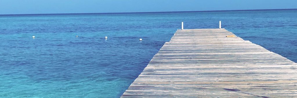 Shea Murphy ⓈⓂ banner