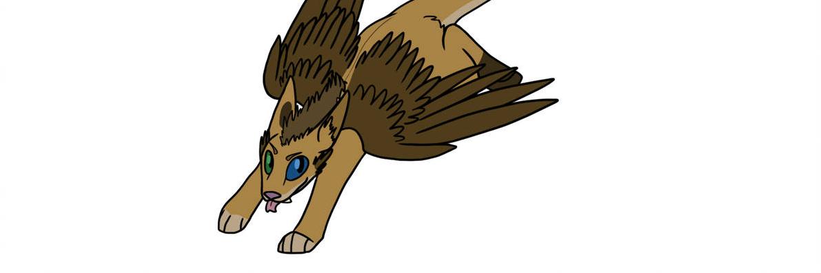 Mothfield's profile banner image