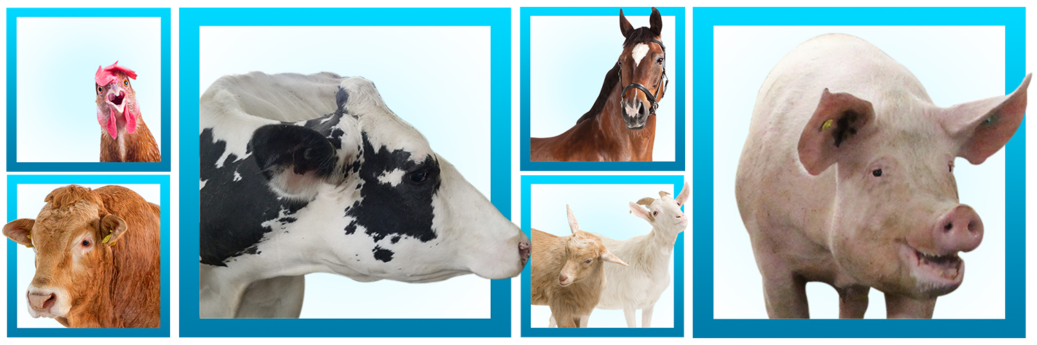 Canarm AgSystems banner