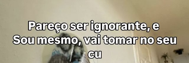 dePaula 🤙 banner