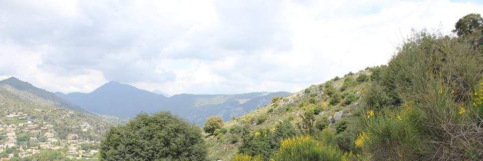maxime_morelle's profile banner image