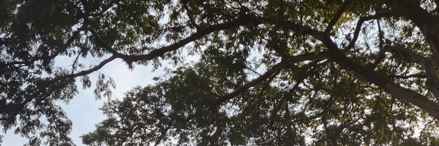 marimarschall's profile banner image