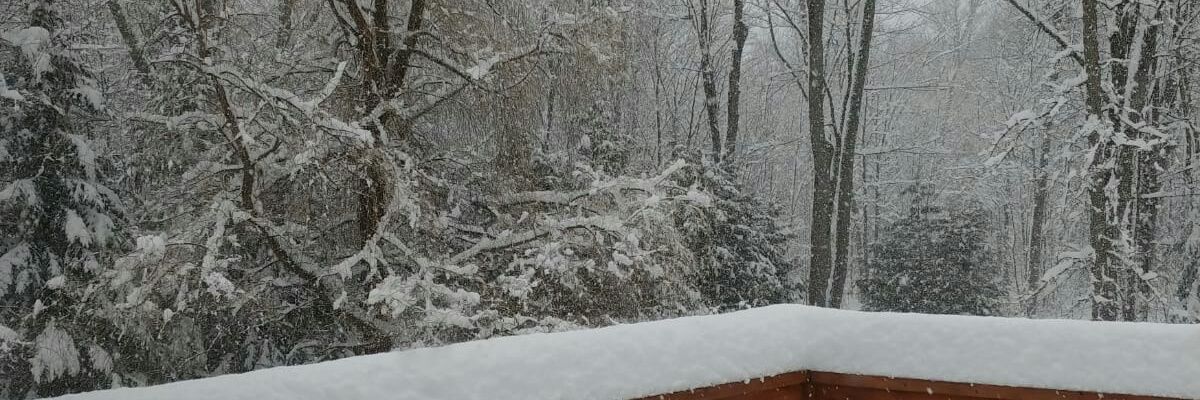 williamZ_1996's profile banner image