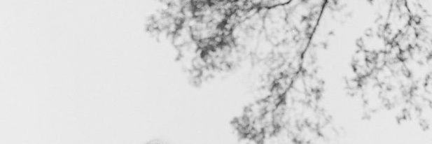 liainthedark's profile banner image