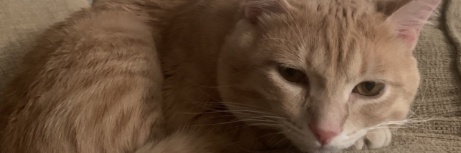 Pphillips3000's profile banner image
