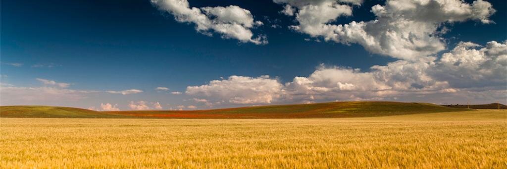MilindkJoshi's profile banner image