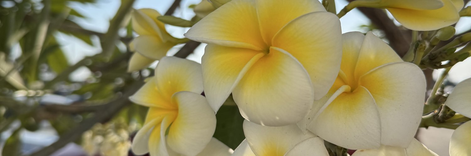 _ArianaMR's profile banner image