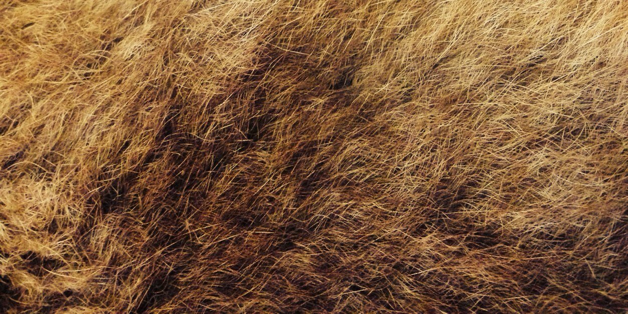 AsianFunBoy's profile banner image