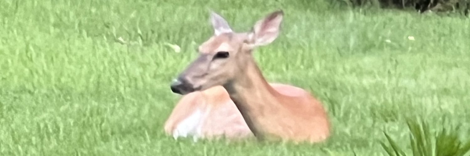 Stonerook34's profile banner image