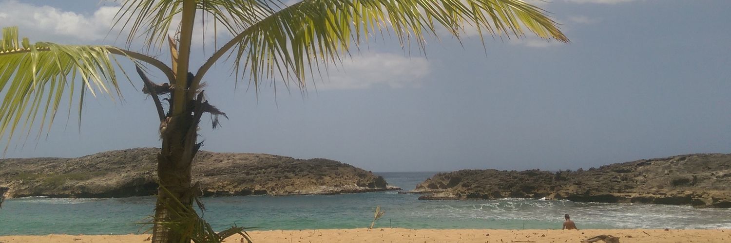 thornsofarosee's profile banner image