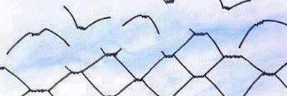 Fontanacorte's profile banner image