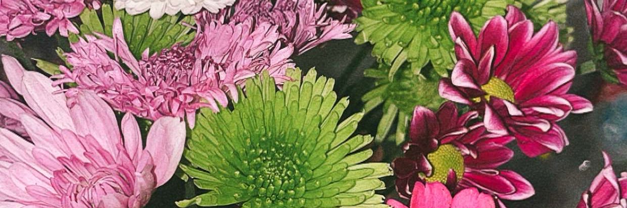 kaymic__'s profile banner image