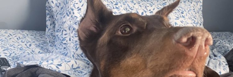 815donna's profile banner image