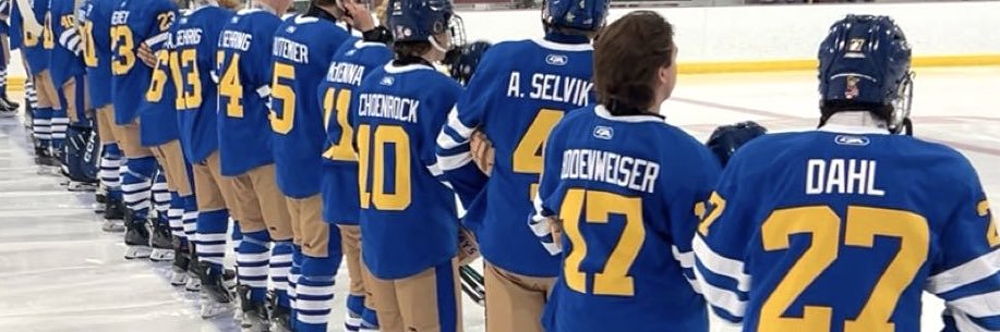 Waseca Boys Hockey banner