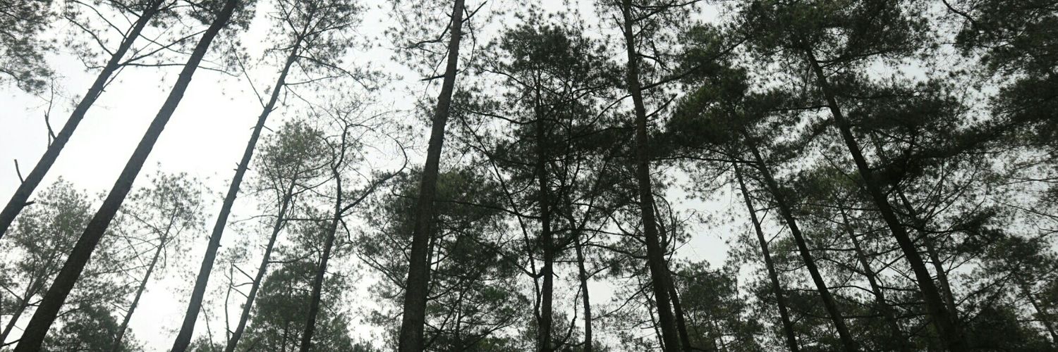 Elisaeeel's profile banner image