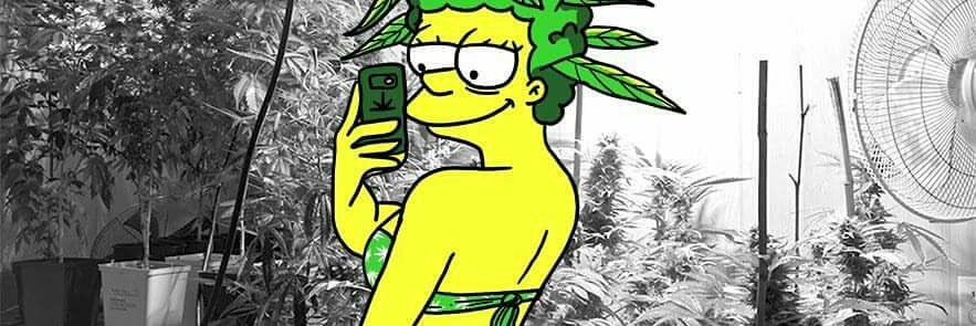 moretussa's profile banner image