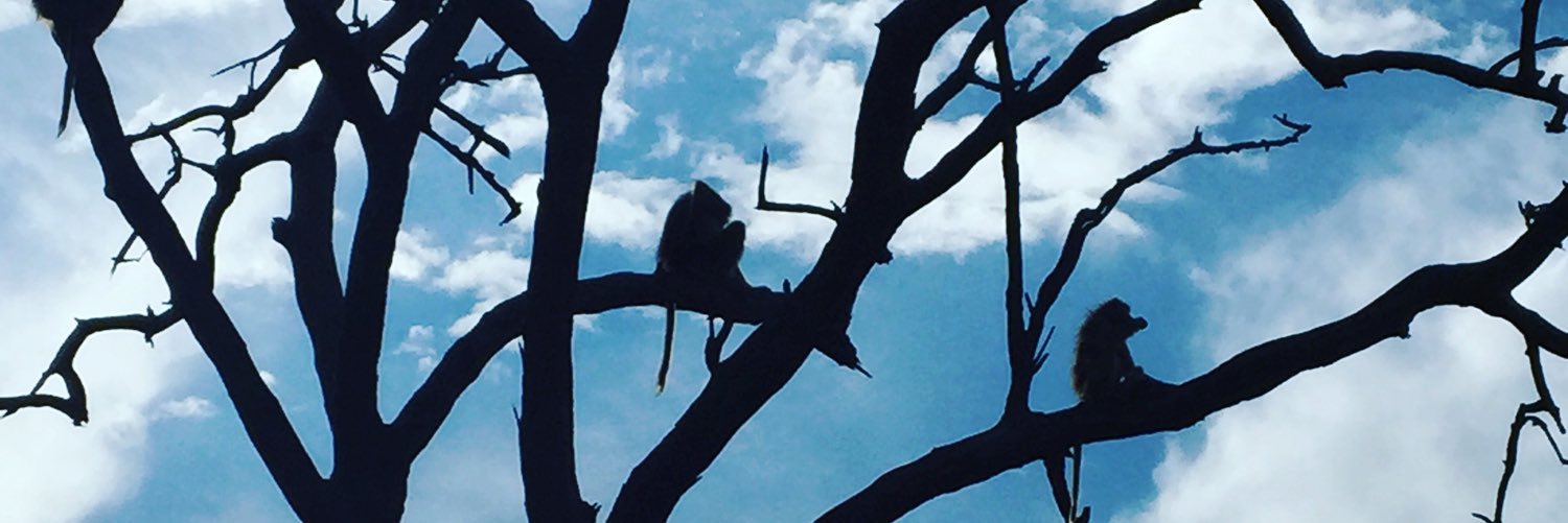 sniperdude17's profile banner image