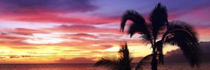 WaedeyAbdul's profile banner image