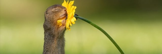 AllNamesXhosa banner