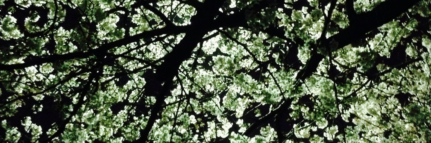 ds__kai's profile banner image