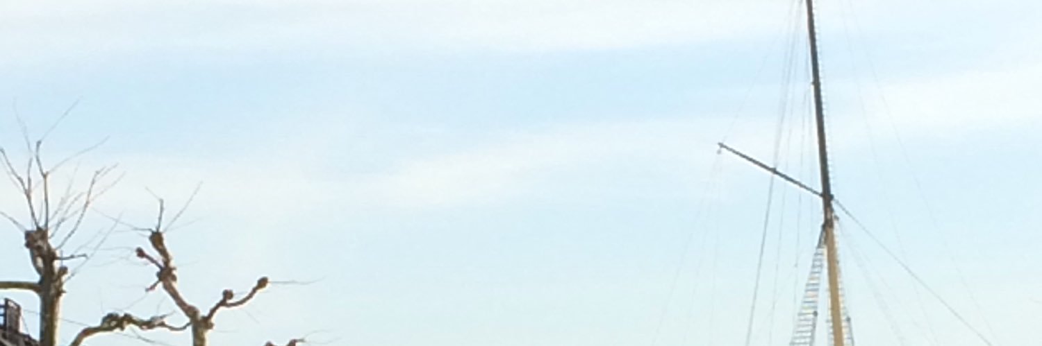 pppkuni's profile banner image
