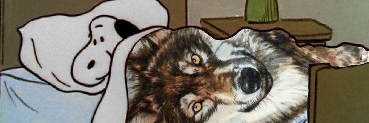 xKevnn's profile banner image
