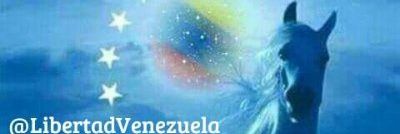 ypaezp's profile banner image