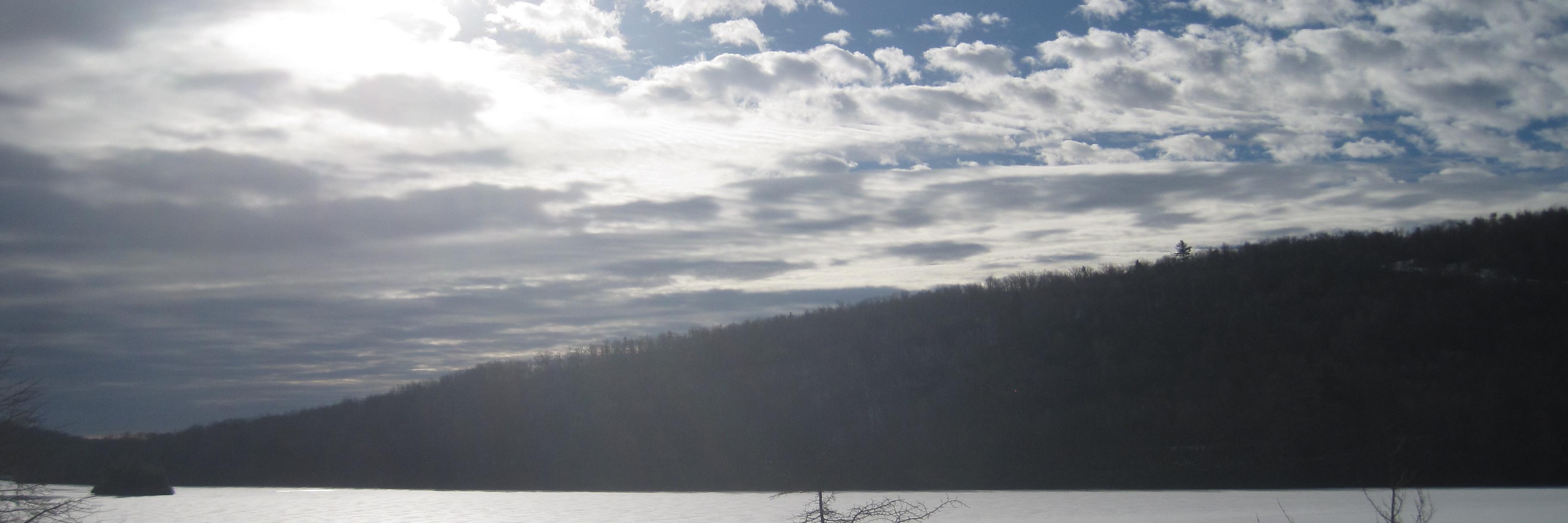 Mike Radomski banner