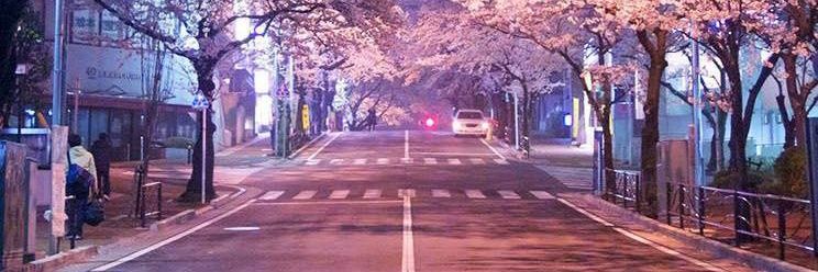 tim_frio's profile banner image