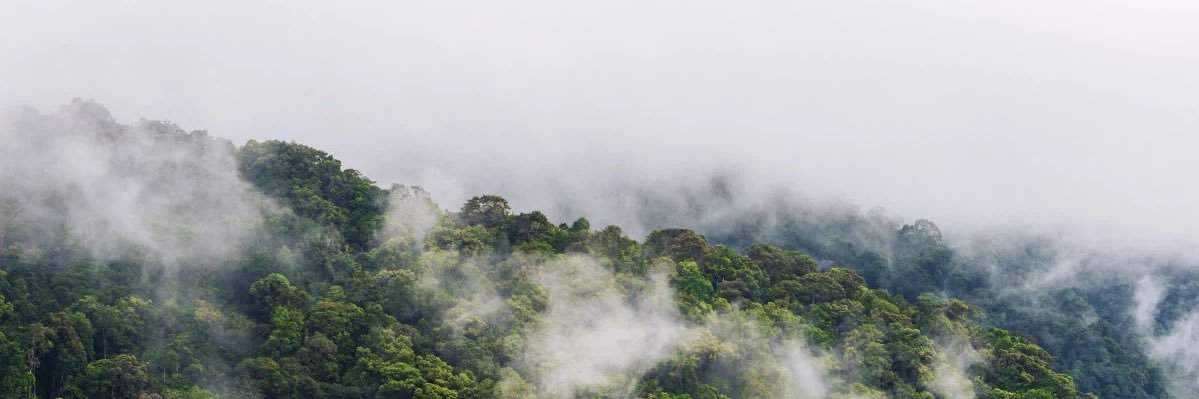 AFIQQosman's profile banner image