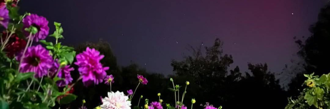 OhkKobe's profile banner image