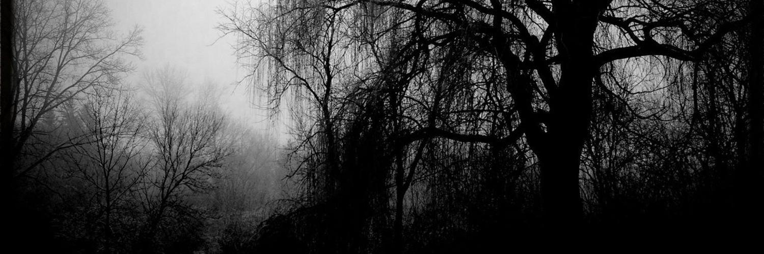 bonfacesadia's profile banner image